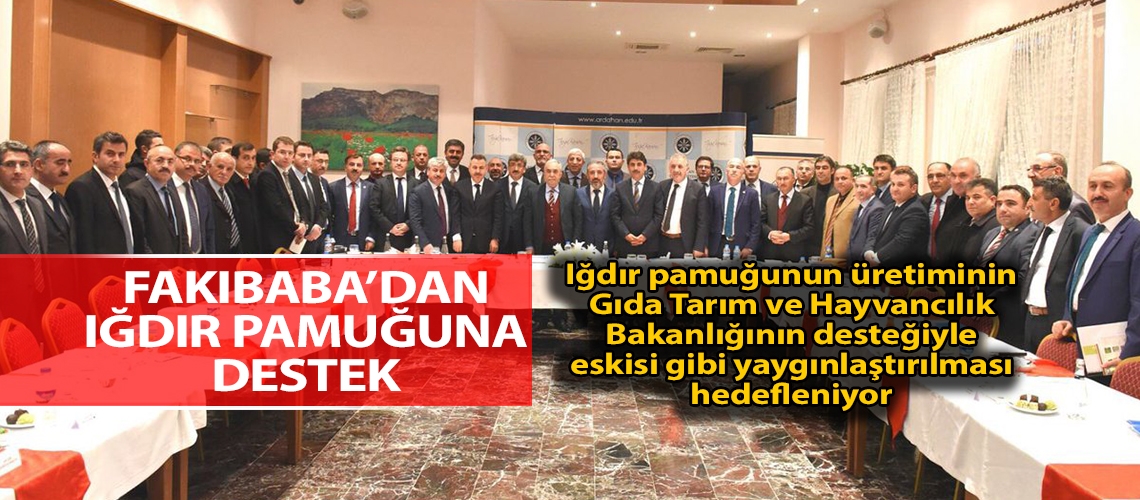 Doğu’nun Çukurovası’nda pamuk eski günlerine dönüyor