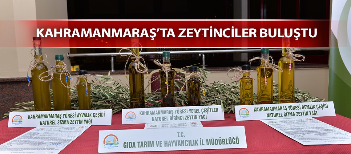 Kahramanmaraş’ta zeytinciler buluştu