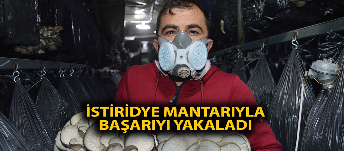 İstiridye mantarıyla başarıyı yakaladı