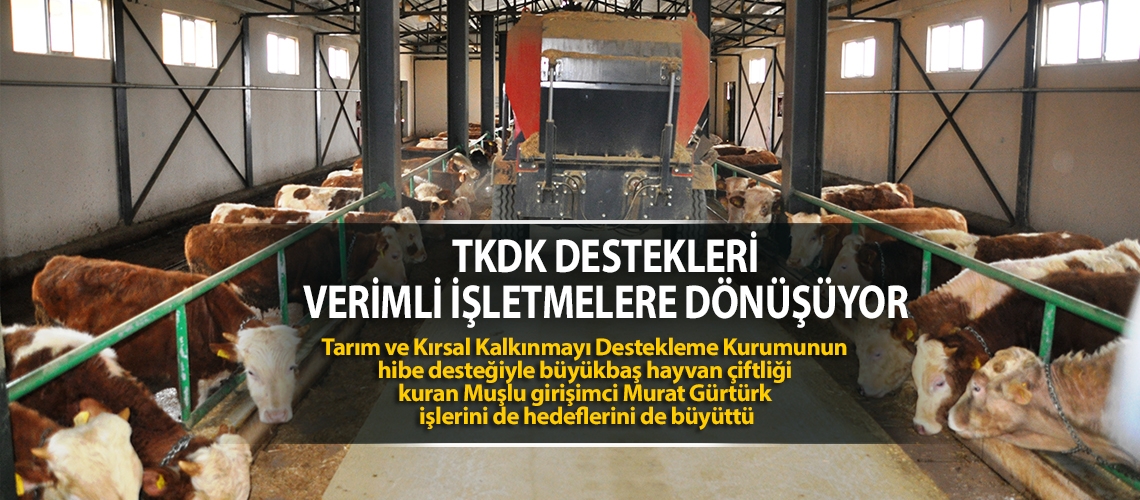 TKDK destekleri verimli işletmelere dönüşüyor