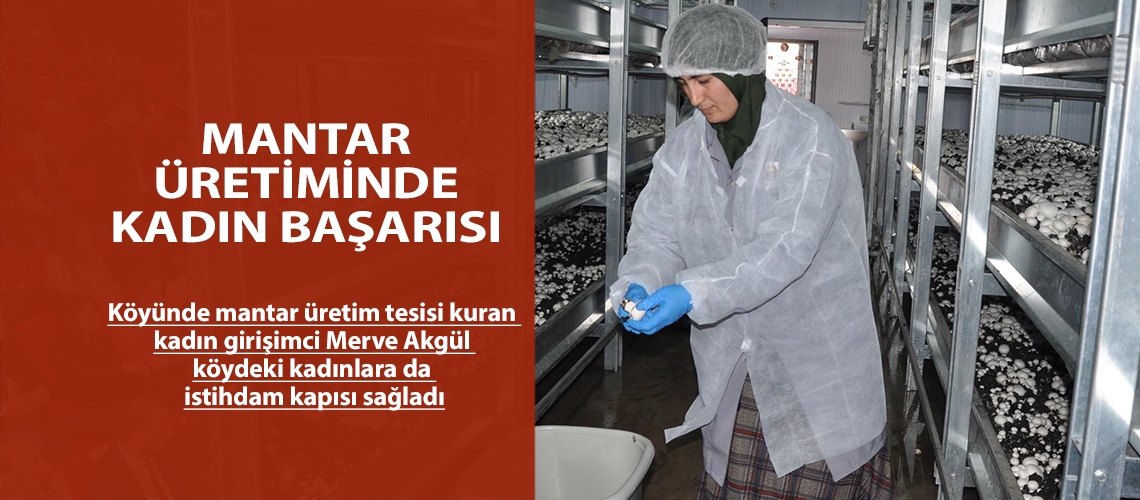 Mantar üretiminde kadın başarısı