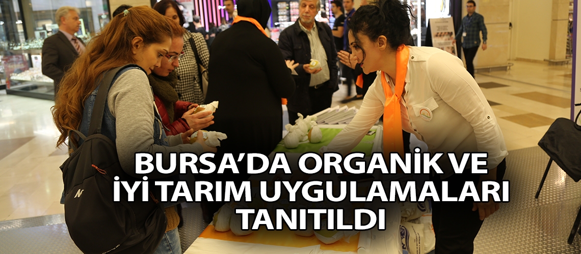 Bursa’da organik ve iyi tarım uygulamaları tanıtıldı