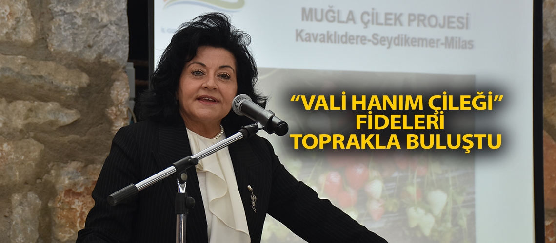 “Vali Hanım Çileği” fideleri toprakla buluştu