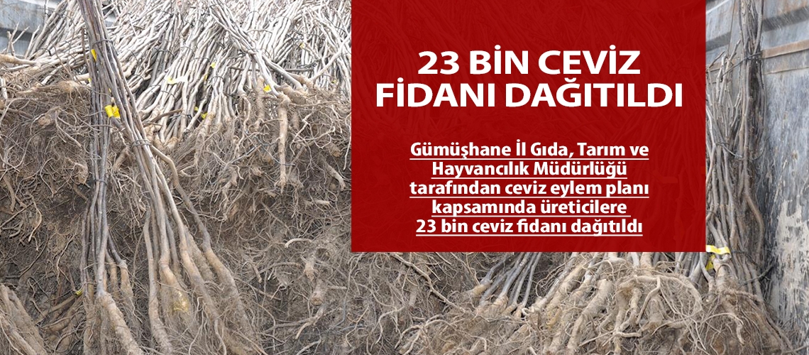 23 Bin ceviz fidanı dağıtıldı