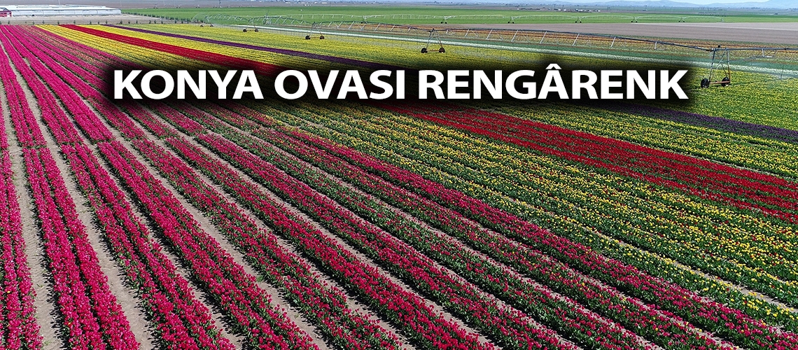 Konya Ovası rengârenk