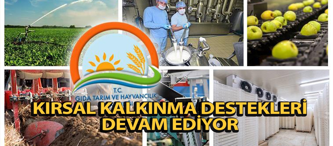 Kırsal kalkınma destekleri devam ediyor