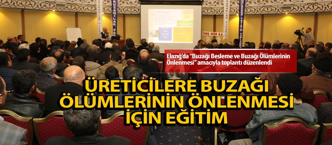 Üreticilere buzağı ölümlerinin önlenmesi için eğitim