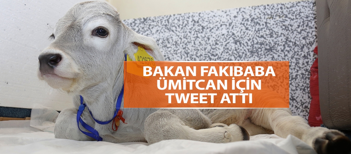 Bakan Fakıbaba Ümitcan için tweet attı