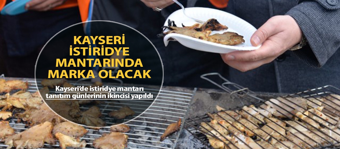 Kayseri istiridye mantarında marka olacak