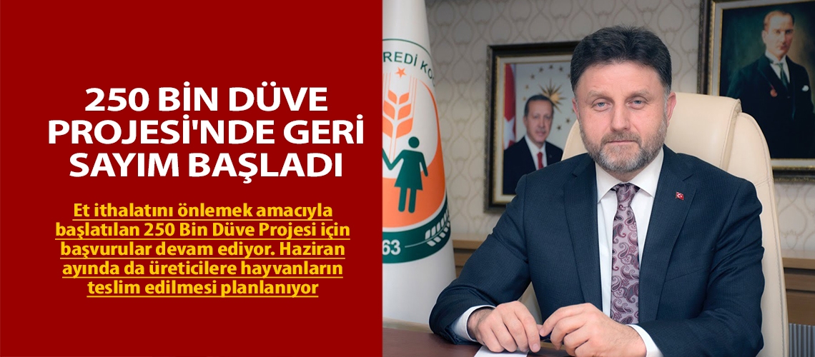 250 Bin Düve Projesi'nde geri sayım başladı