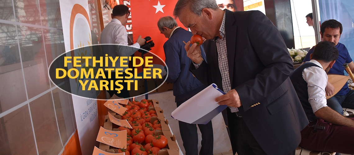 Fethiye'de domatesler yarıştı