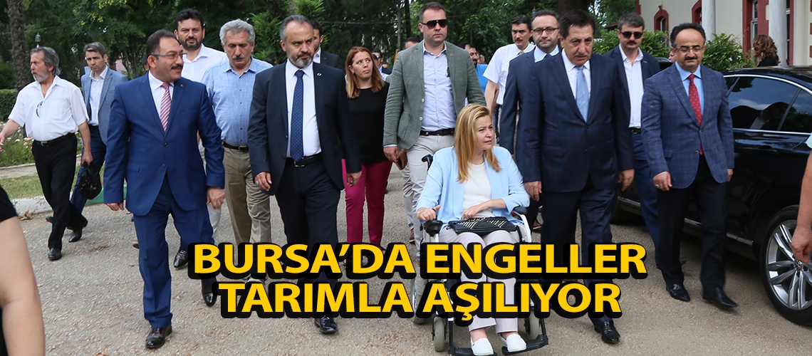 Bursa’da engeller tarımla aşılıyor