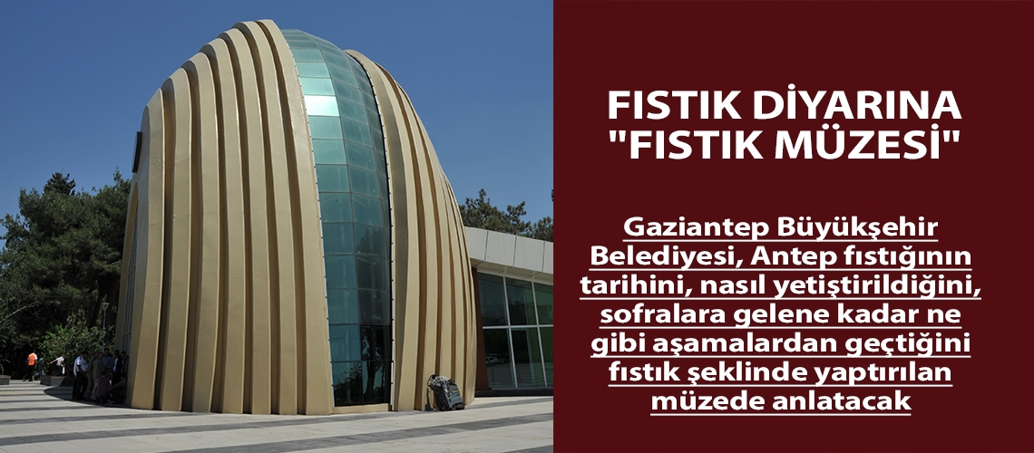 Fıstık diyarına 