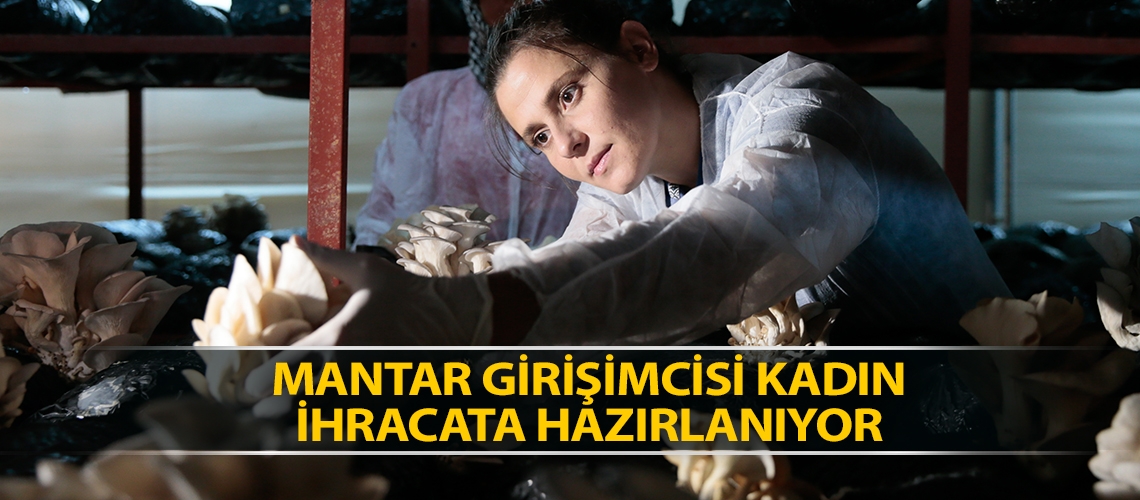 Mantar girişimcisi kadın ihracata hazırlanıyor