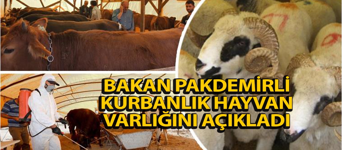 Bakan Pakdemirli kurbanlık hayvan varlığını açıkladı