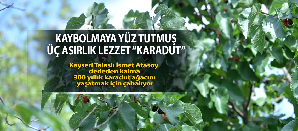 Kaybolmaya yüz tutmuş üç asırlık lezzet “karadut”