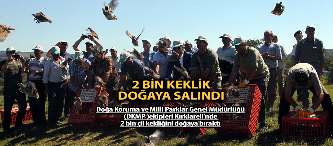 2 bin keklik doğaya salındı