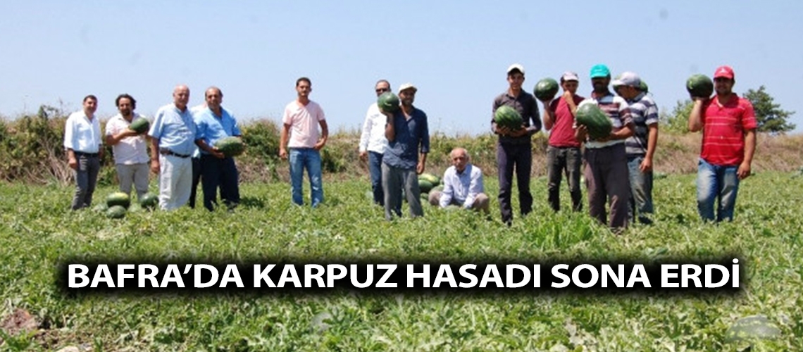 Bafra’da karpuz hasadı sona erdi