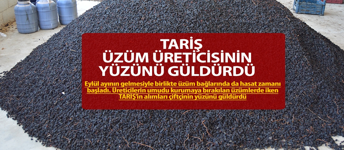 TARİŞ üzüm üreticisinin yüzünü güldürdü