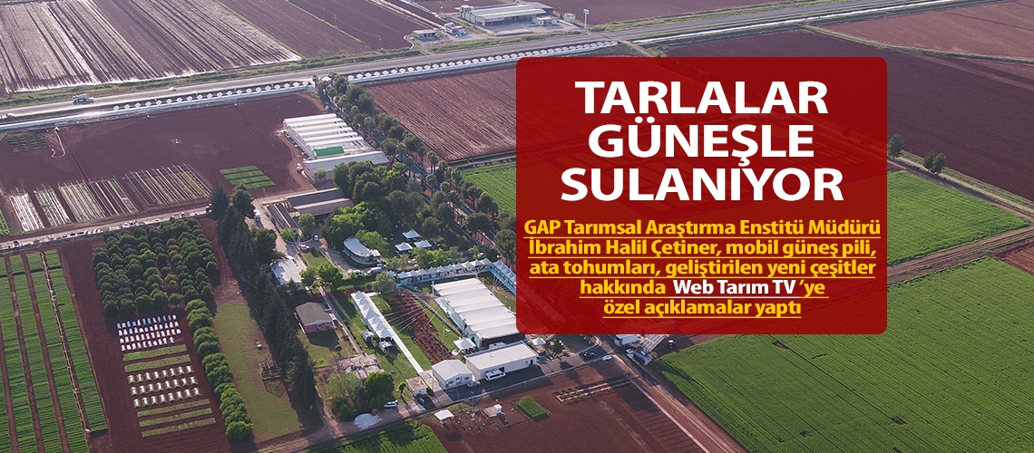 Tarlalar güneşle sulanıyor