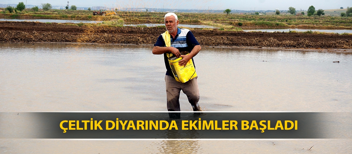 Çeltik diyarında ekimler başladı