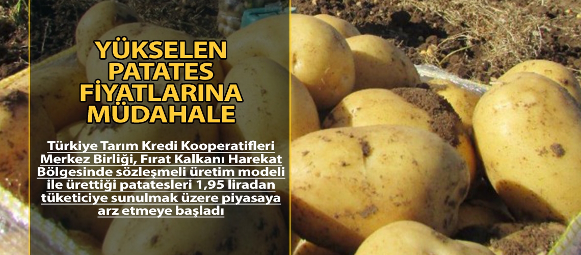 Yükselen patates fiyatlarına müdahale