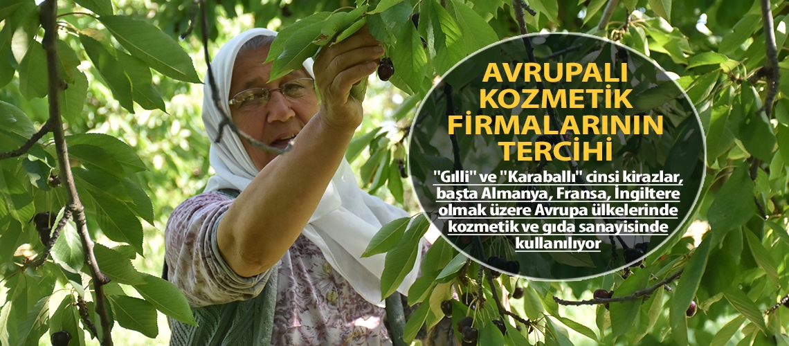 Avrupalı kozmetik firmalarının tercihi