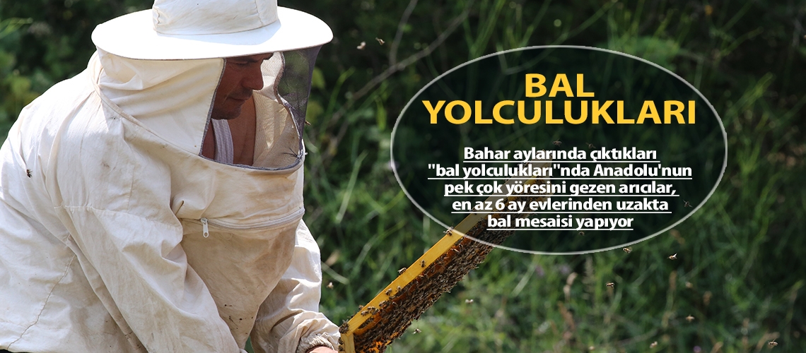 Bal yolculukları