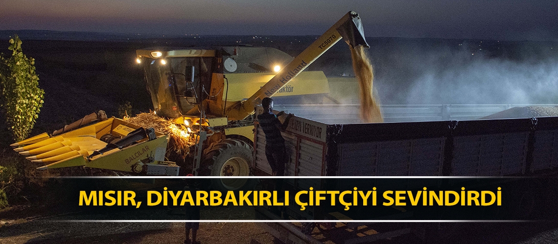 Mısır, Diyarbakırlı çiftçiyi sevindirdi