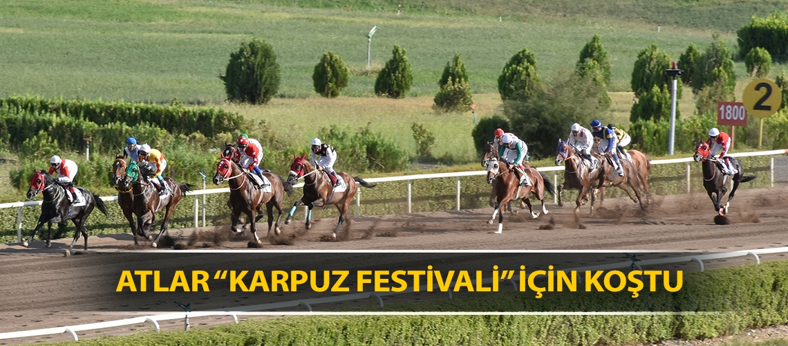 Atlar “Karpuz Festivali” için koştu