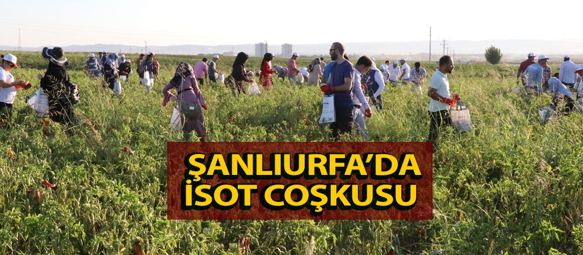 Şanlıurfa’da isot coşkusu