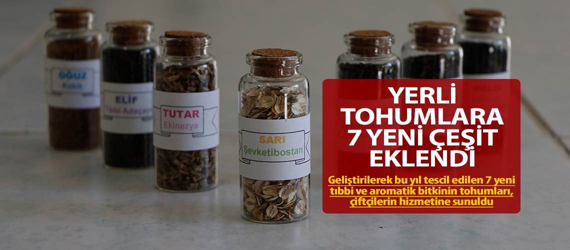 Yerli tohumlara 7 yeni çeşit eklendi