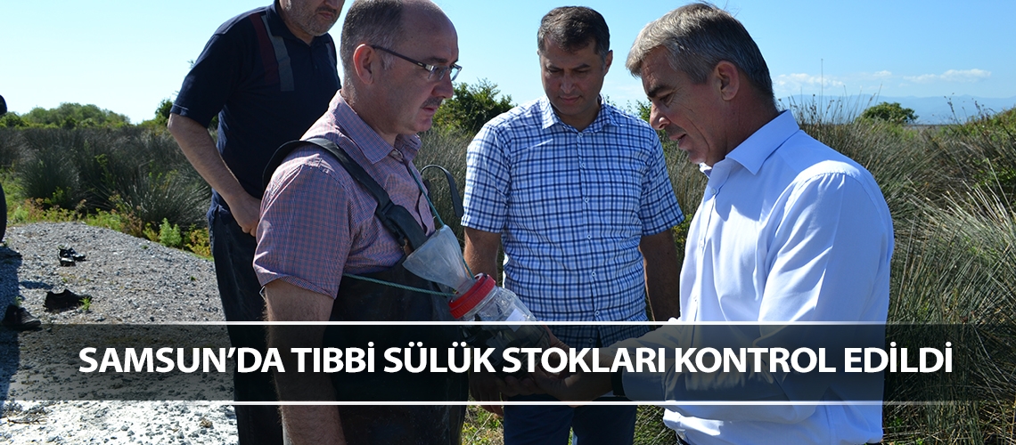 Samsun’da tıbbi sülük stokları kontrol edildi