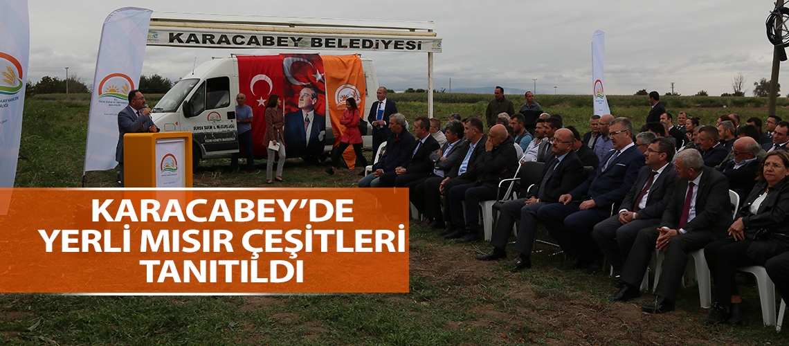 Karacabey’de yerli mısır çeşitleri tanıtıldı