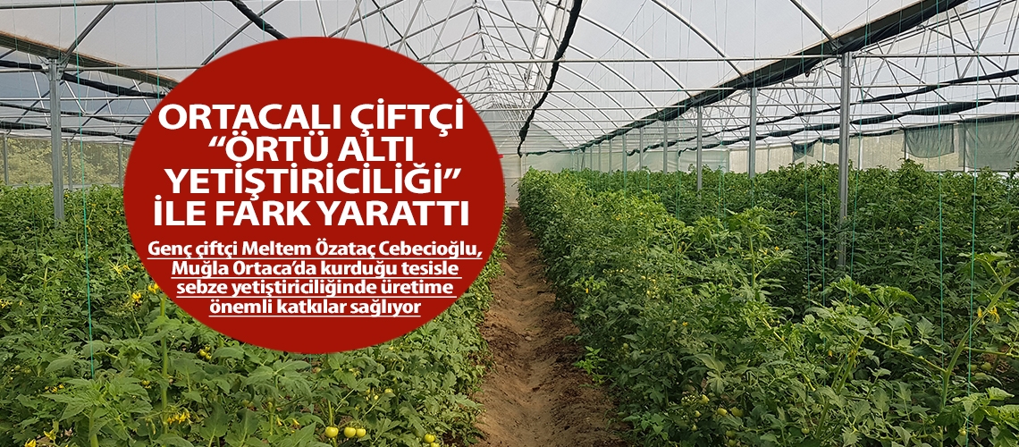 Ortacalı çiftçi “Örtü Altı Yetiştiriciliği” ile fark yarattı