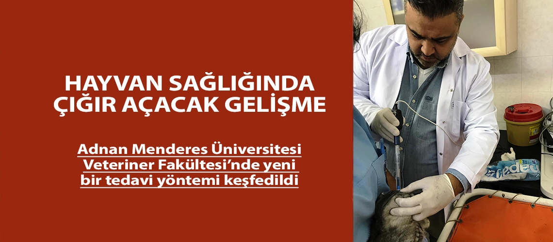 Hayvan sağlığında çığır açacak gelişme