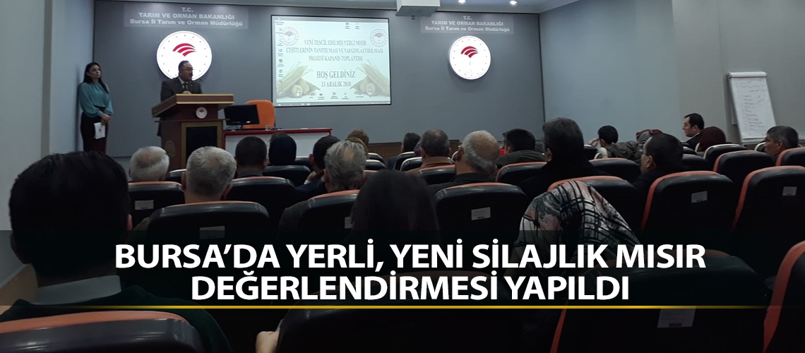 Bursa’da yerli, yeni silajlık mısır değerlendirmesi yapıldı