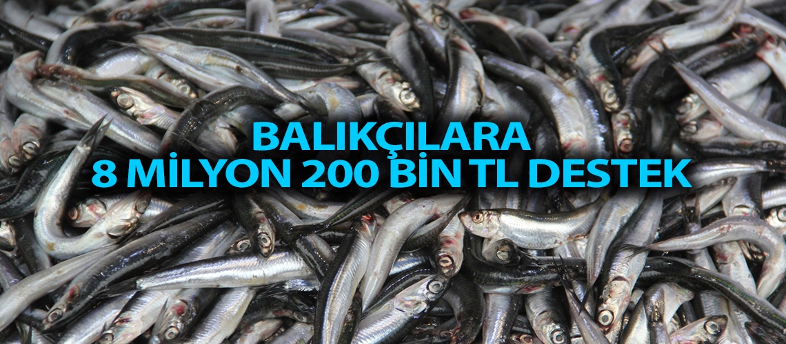 Balıkçılara 8 milyon 200 bin tl destek