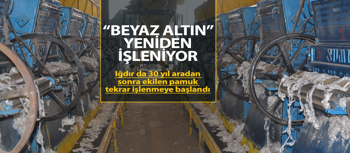 “Beyaz Altın” yeniden işleniyor