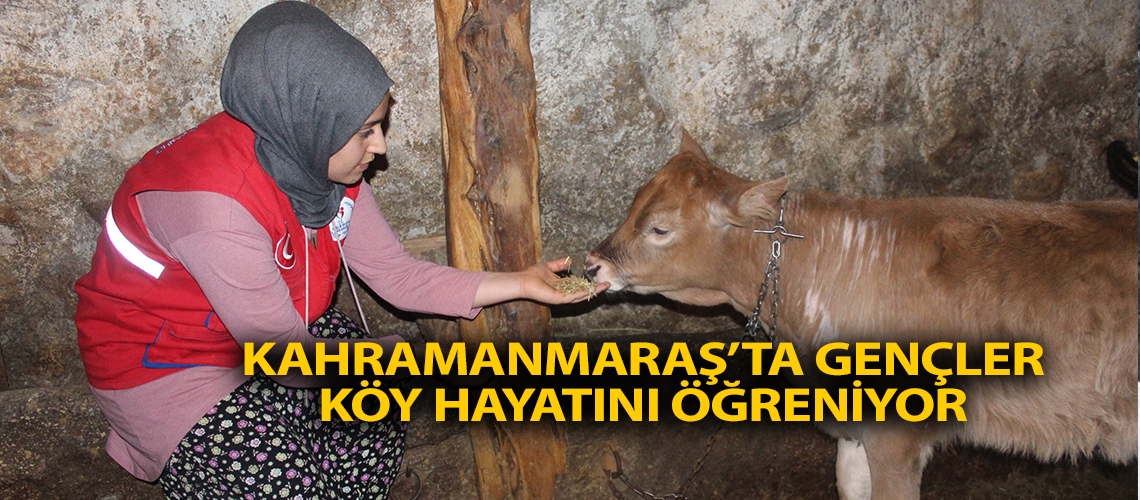 Kahramanmaraş’ta gençler köy hayatını öğreniyor