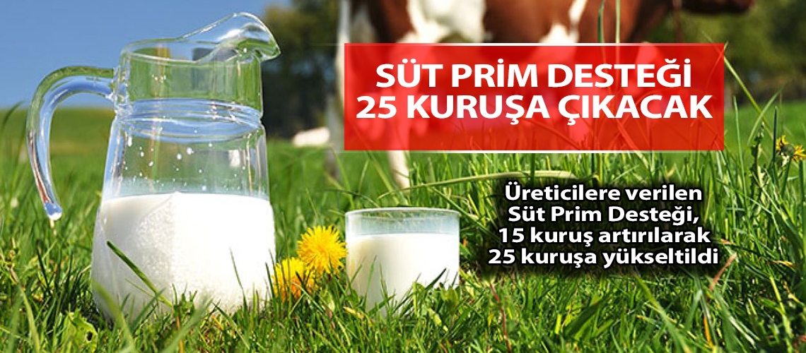 Süt prim desteği 25 kuruşa çıkacak