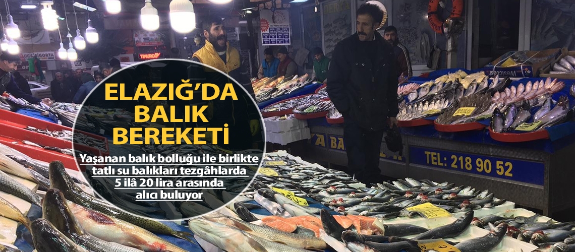 Elazığ’da balık bereketi