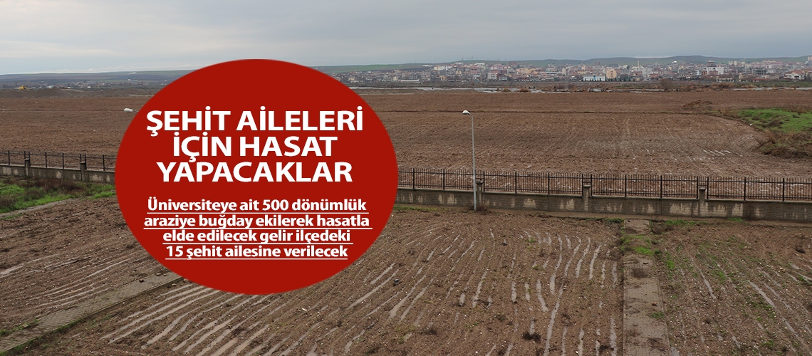 Şehit aileleri için hasat yapacaklar