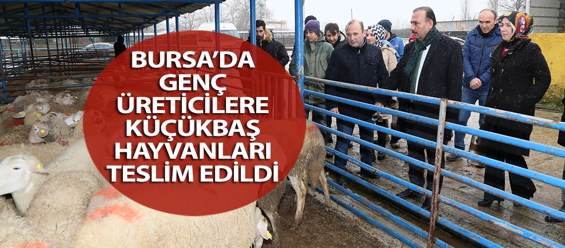 Bursa’da genç üreticilere küçükbaş hayvanları teslim edildi