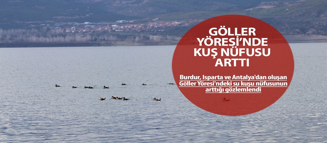 Göller Yöresi’nde kuş nüfusu arttı