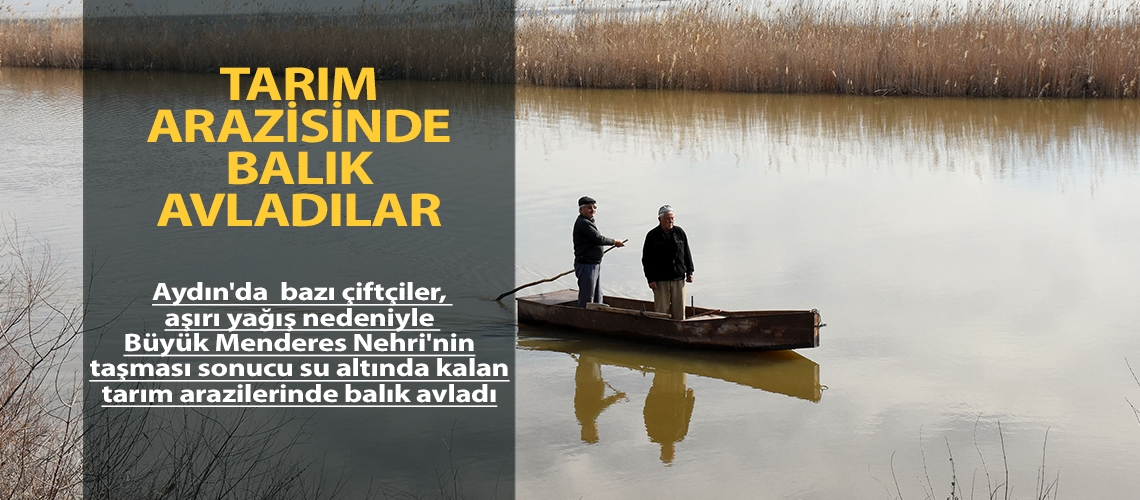 Tarım arazisinde balık avladılar