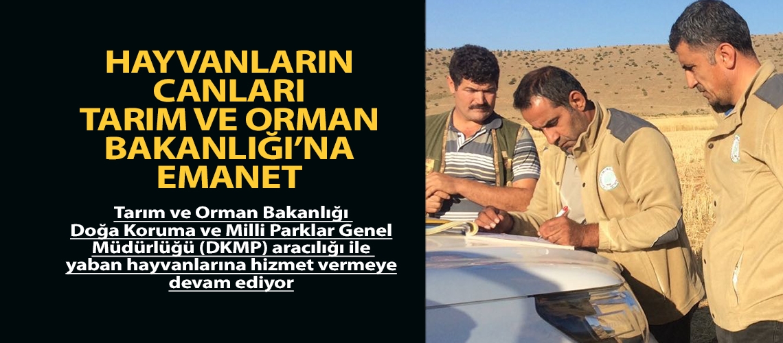 Hayvanların canları Tarım ve Orman Bakanlığı’na emanet