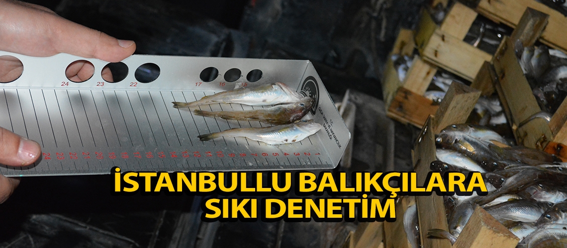 İstanbullu balıkçılara sıkı denetim