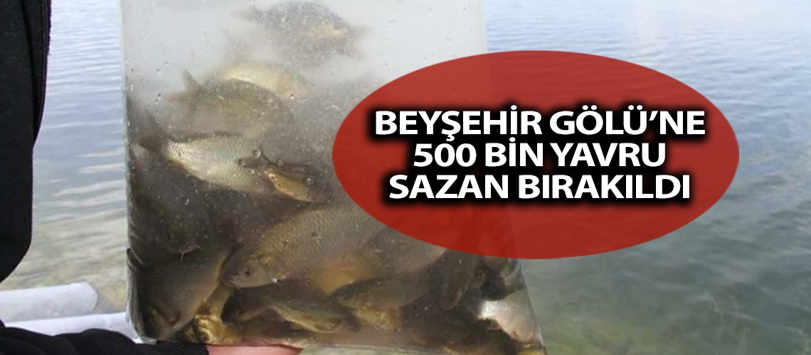 Beyşehir Gölü’ne 500 bin yavru sazan bırakıldı