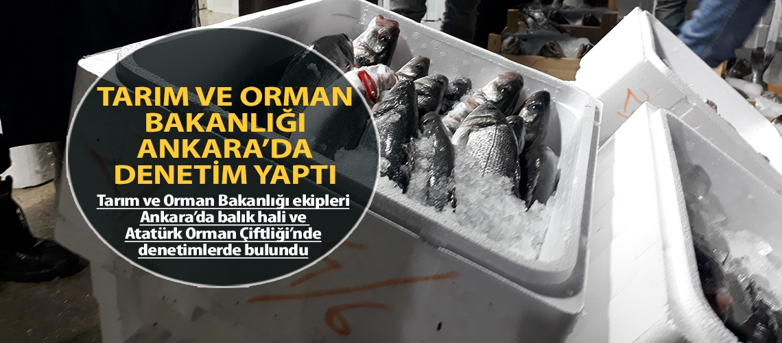 Tarım ve Orman Bakanlığı Ankara’da denetim yaptı